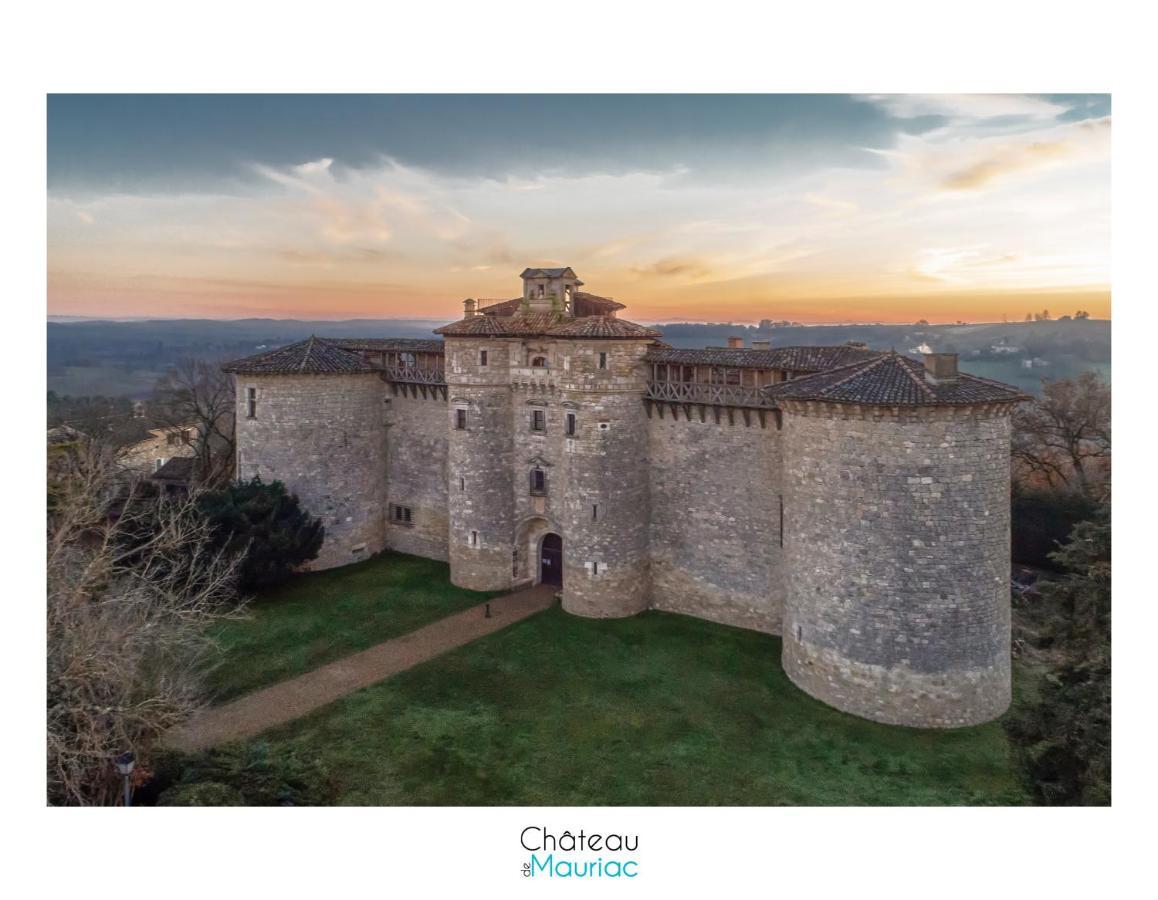 Bed and Breakfast Chateau De Mauriac Senouillac Exterior foto